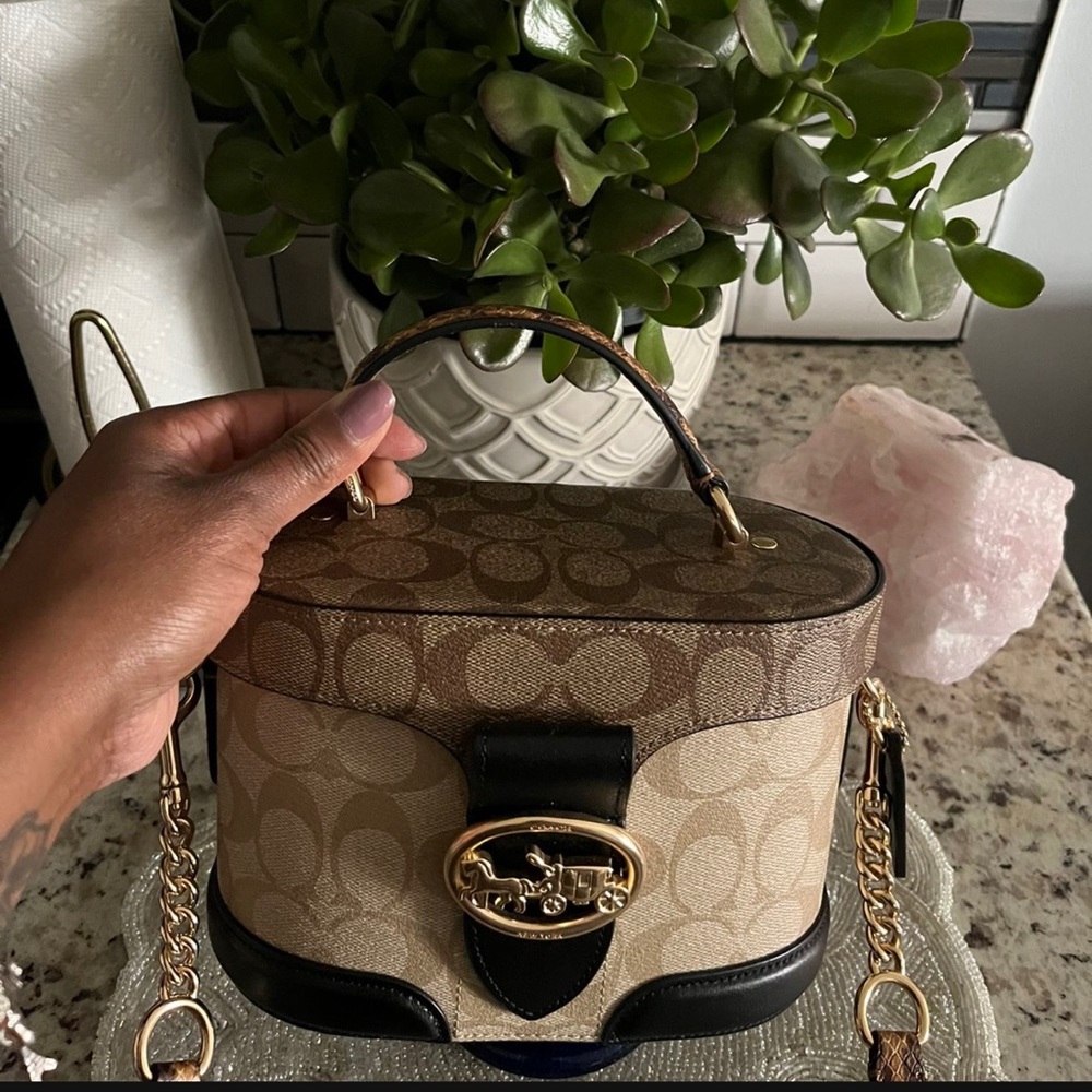 Coach Train case